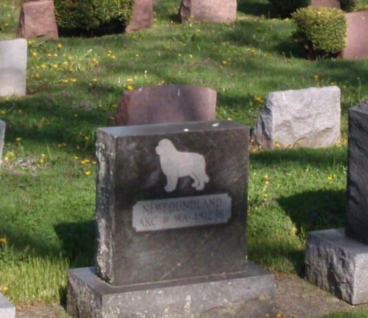 Cómo abrir un negocio de cementerio de mascotas | Guía para el éxito Montar un negocio cementerio de mascotas