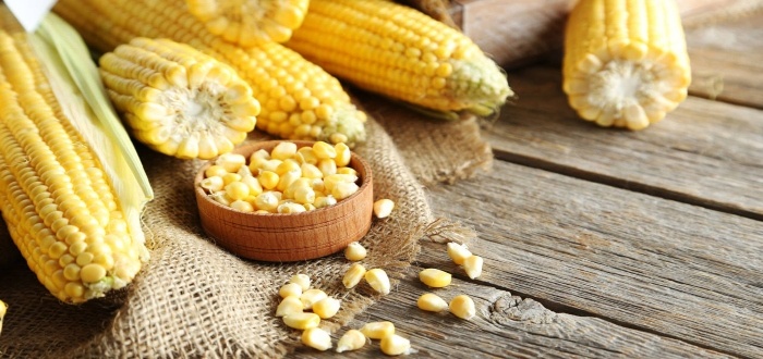 Productos a base de maíz