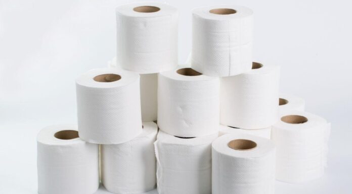 Cómo iniciar una fábrica de papel higiénico | 8 pasos para ser exitoso Fábrica de papel higiénico