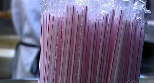 Cómo montar una fábrica de cañitas o sorbetes de plástico