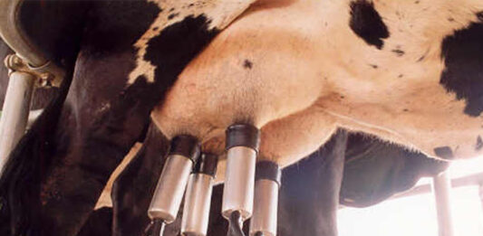 Cómo montar un negocio de ordeñación mecánica