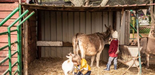 Cómo montar una granja escuela | El poder de la agricultura Cómo montar una granja escuela