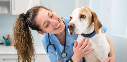 Cómo crear una clínica veterinaria | Emprende en el mundo de las mascotas Cómo crear una clínica veterinaria