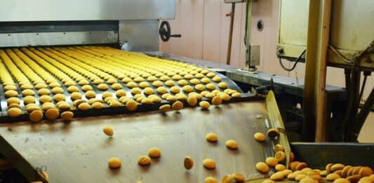 Cómo montar una fábrica de galletas: paso a paso