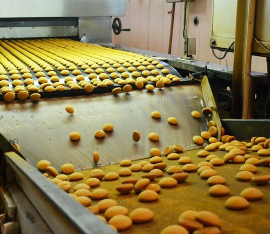 Cómo montar una fábrica de galletas: paso a paso