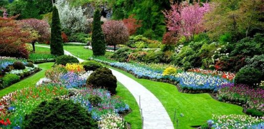 Cómo montar una empresa de paisajismo: ¡Todo lo que necesitas saber!