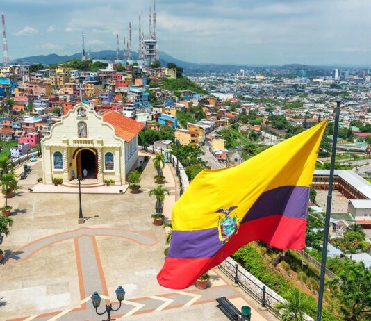 Negocios rentables en Ecuador | Emprende con alguna de estas 10 ideas exitosas Negocios rentables en Ecuador - 10 ideas para emprender