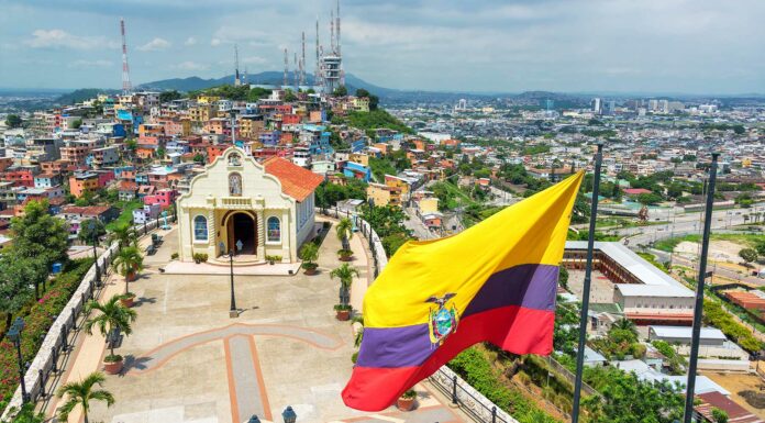 Negocios rentables en Ecuador | Emprende con alguna de estas 10 ideas exitosas Negocios rentables en Ecuador - 10 ideas para emprender