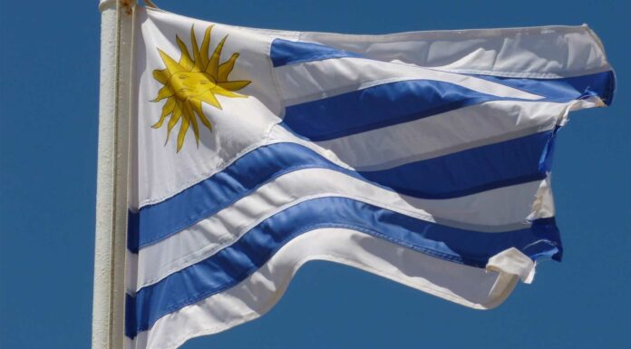 Negocios rentables en Uruguay | 10 ideas de emprendimiento para invertir Negocios rentables en Uruguay - Ideas de emprendimientos