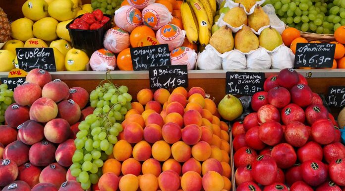 Cómo montar una frutería | Pasos y consejos para hacerlo con éxito Montar una frutería - Guía con pasos y consejos