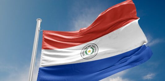 9 franquicias en Paraguay | Conoce las mejores opciones para invertir Franquicias en Paraguay