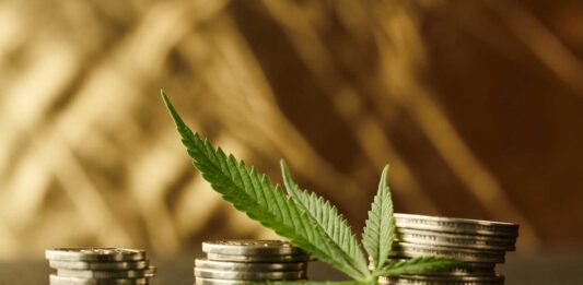 Franquicia GrowShop, un negocio diferente y rentable en 2023 Growshop como negocio rentable