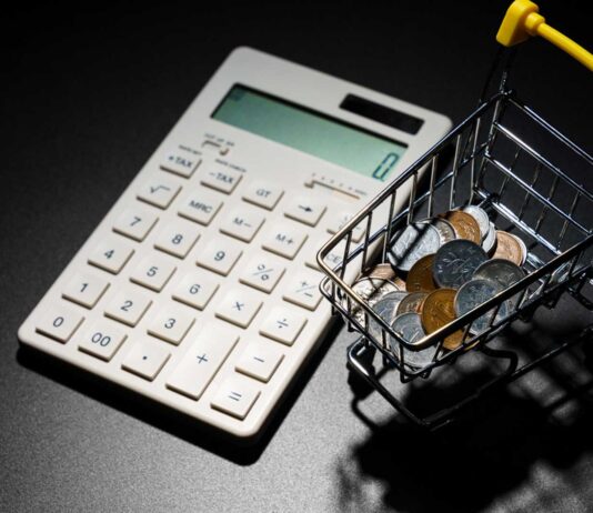 ¿Por qué y cómo demostrar solvencia económica? Qué es la solvencia económica