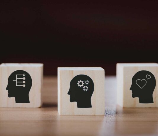 Las competencias transversales: qué son y su importancia en la empleabilidad Las competencias transversales