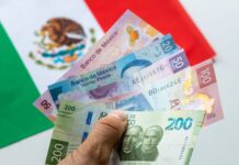 ¿Cómo invertir en Cetes México? | Una opción segura y asequible Imagen que representa cómo invertir en Cetes México