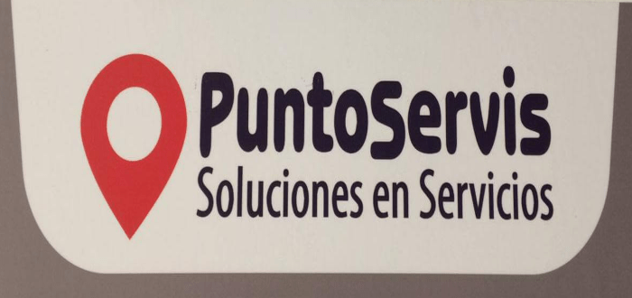 Logo PuntoServis