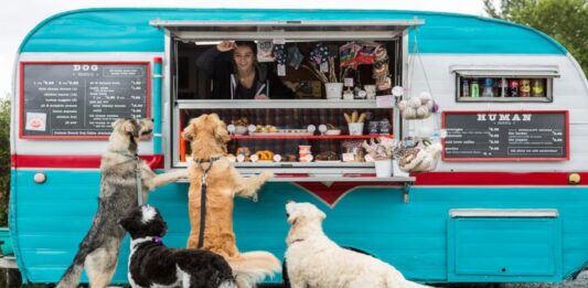 Negocio de comida para perros | ¿Cómo montar un food truck dogs? Negocio de comida para perros