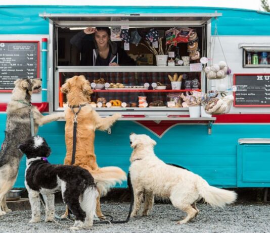 Negocio de comida para perros | ¿Cómo montar un food truck dogs? Negocio de comida para perros