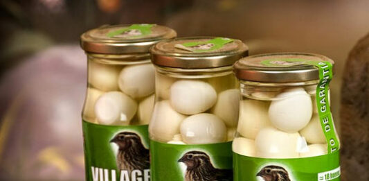 Cómo montar una fábrica de huevos de codorniz en conserva