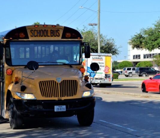 Cómo abrir un negocio de transporte escolar | Transporta el futuro Negocio de transporte escolar