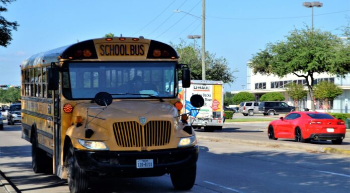 Cómo abrir un negocio de transporte escolar | Transporta el futuro Negocio de transporte escolar