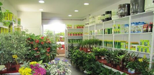Cómo montar una tienda de plantas