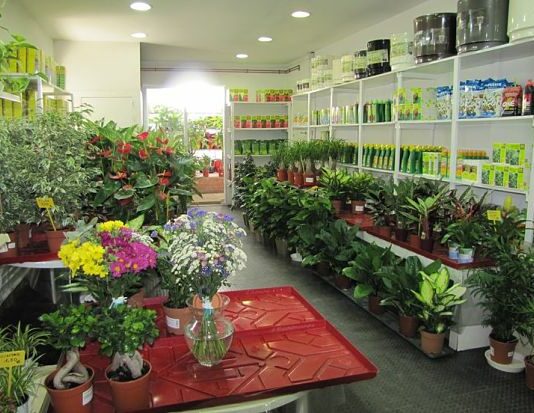 Cómo montar una tienda de plantas