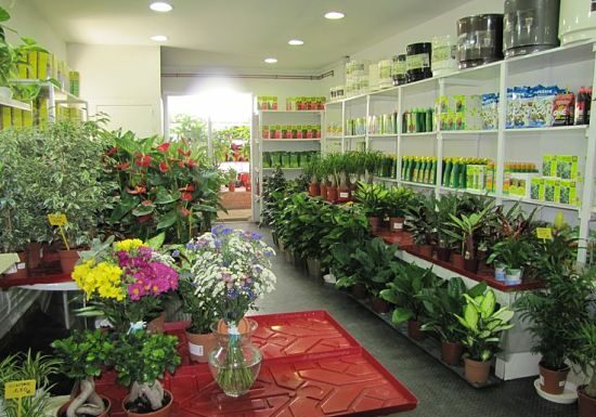 Cómo montar una tienda de plantas