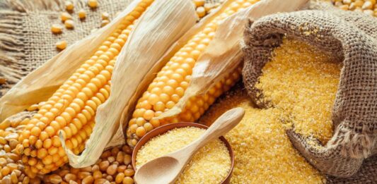 Cómo vender productos a base de maíz | 10 ideas Ideas de productos a base de maíz