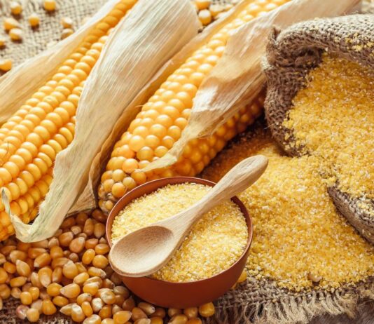 Cómo vender productos a base de maíz | 10 ideas Ideas de productos a base de maíz