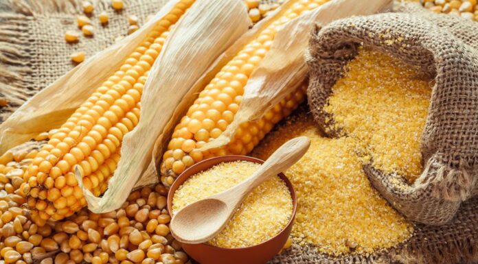 Cómo vender productos a base de maíz | 10 ideas Ideas de productos a base de maíz