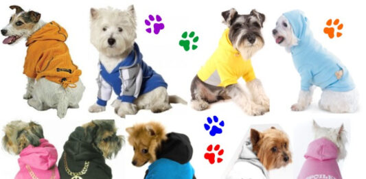 Cómo montar una fábrica de ropa para mascotas