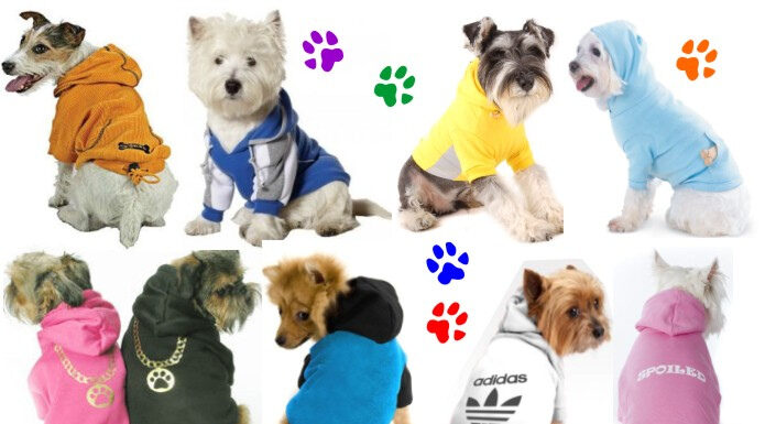 Cómo montar una fábrica de ropa para mascotas