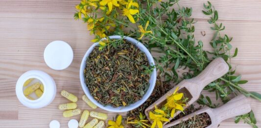 12 mejores franquicias de herboristerías | Ofrece salud y bienestar Imagen símbolo de franquicias de herboristerías