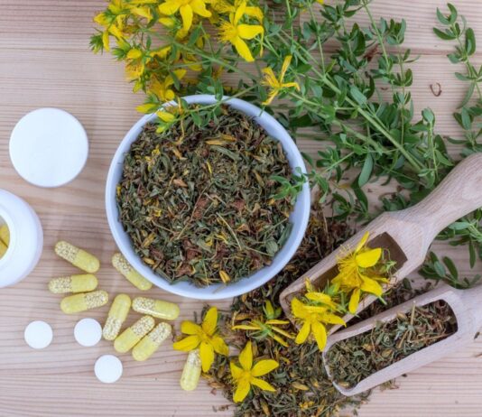 12 mejores franquicias de herboristerías | Ofrece salud y bienestar Imagen símbolo de franquicias de herboristerías