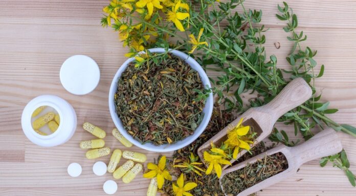 12 mejores franquicias de herboristerías | Ofrece salud y bienestar Imagen símbolo de franquicias de herboristerías