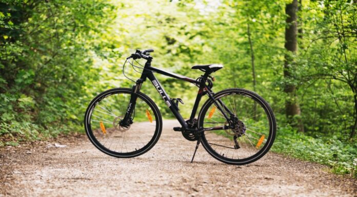 15 ideas de negocios de bicicletas | Gana dinero con los bicinegocios 15 ideas de negocios de bicicletas que aumentaran tus ingresos