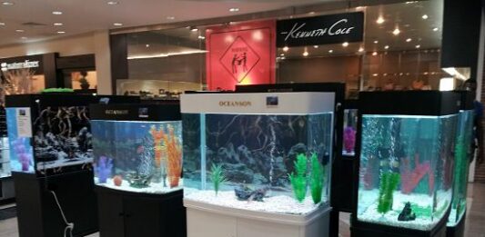 Cómo montar un negocio de acuarios y peceras