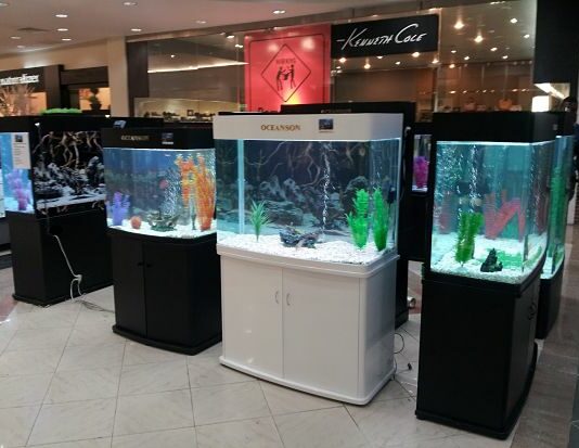 Cómo montar un negocio de acuarios y peceras