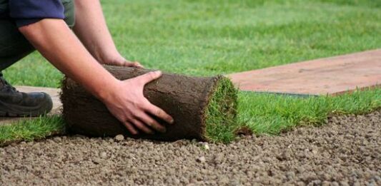 Cómo vender césped en rollos