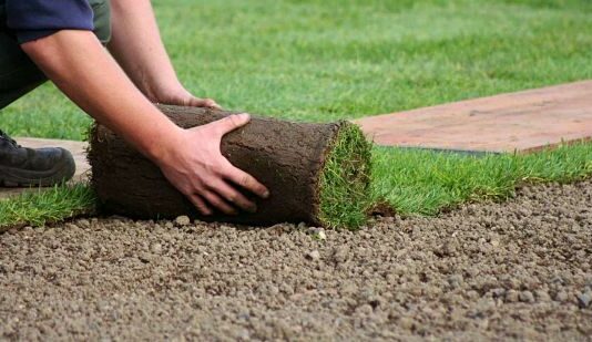 Cómo vender césped en rollos