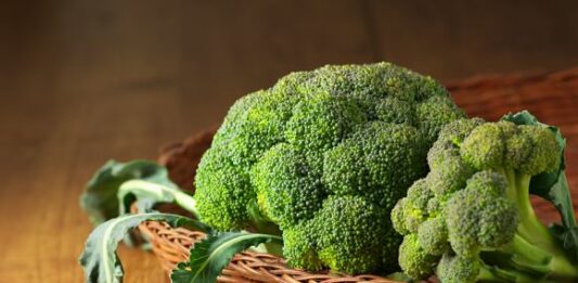 Cómo iniciar y comercializar una plantación de brócoli