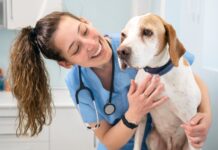 Cómo crear una clínica veterinaria | Emprende en el mundo de las mascotas Cómo crear una clínica veterinaria
