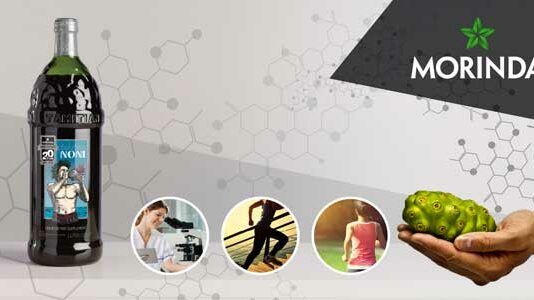 Cómo ganar dinero con Morinda: ¿Es una oportunidad real?