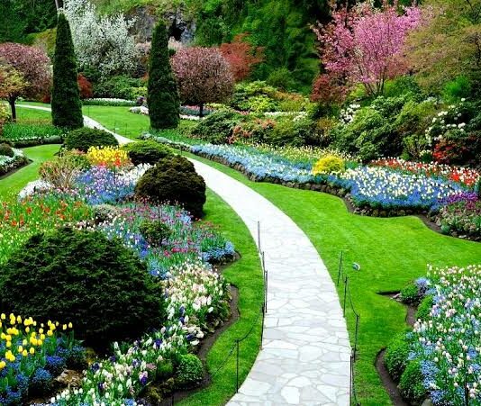 Cómo montar una empresa de paisajismo: ¡Todo lo que necesitas saber!