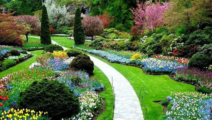 Cómo montar una empresa de paisajismo: ¡Todo lo que necesitas saber!