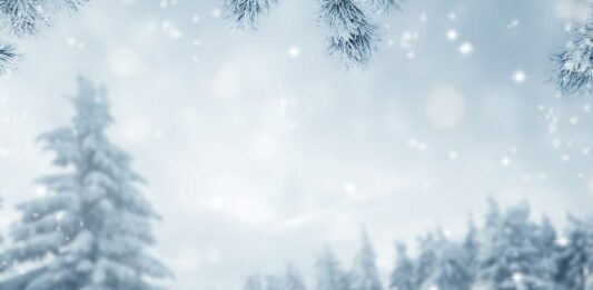 ¿Qué se puede vender en invierno? | Ideas para ganar dinero Qu'e vender en invierno - Ideas de negocio