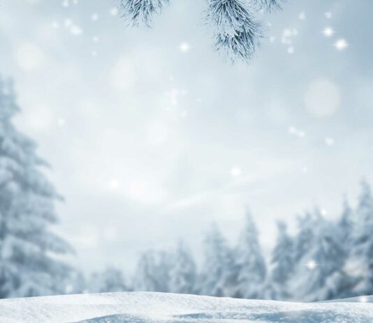 ¿Qué se puede vender en invierno? | Ideas para ganar dinero Qu'e vender en invierno - Ideas de negocio