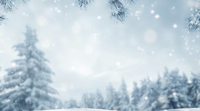 ¿Qué se puede vender en invierno? | Ideas para ganar dinero Qu'e vender en invierno - Ideas de negocio