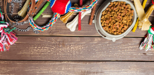 Cómo abrir un pet shop | Lo que debes saber para montar una tienda de mascotas cómo-abrir-un-pet-shop